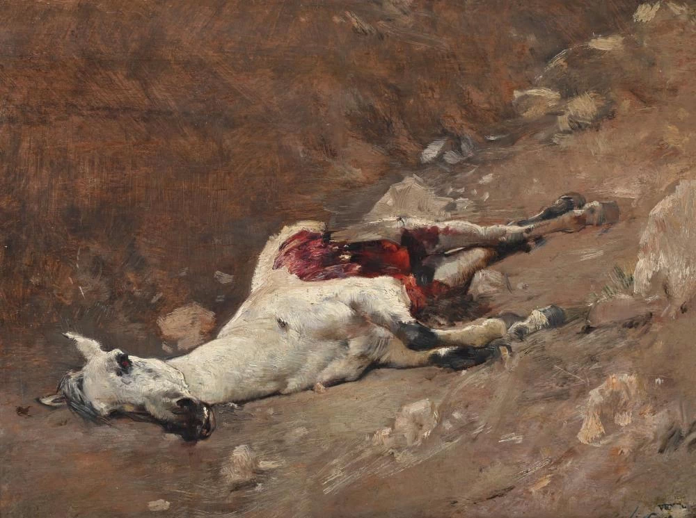 Studio di un cavallo caduto